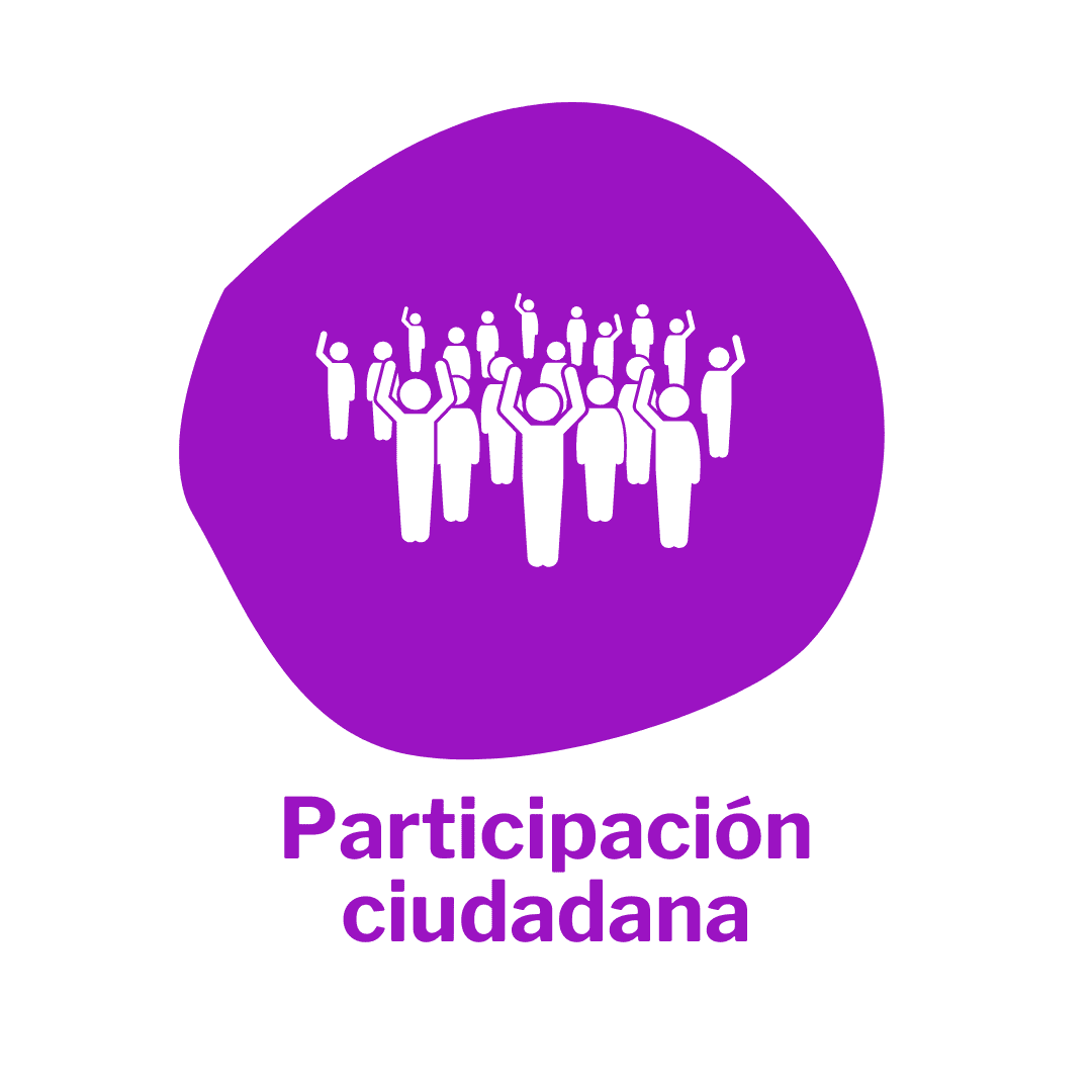 Participación ciudadana